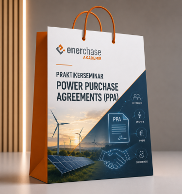 Praktikerseminar Power Purchase Agreements (PPA)