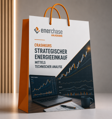Crashkurs - Strategischer Energieeinkauf mittels Technischer Analyse - 17.11.2026