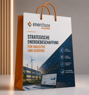 Strategische Energiebeschaffung für Industrie und Gewerbe (23./24.11.)