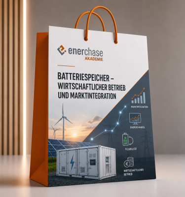Batteriespeicher – Wirtschaftlicher Betrieb und Marktintegration