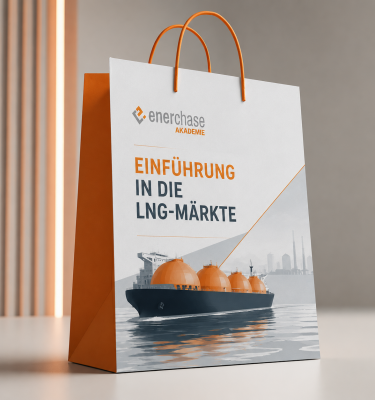 Einführung in die LNG-Märkte (12.11.2026)